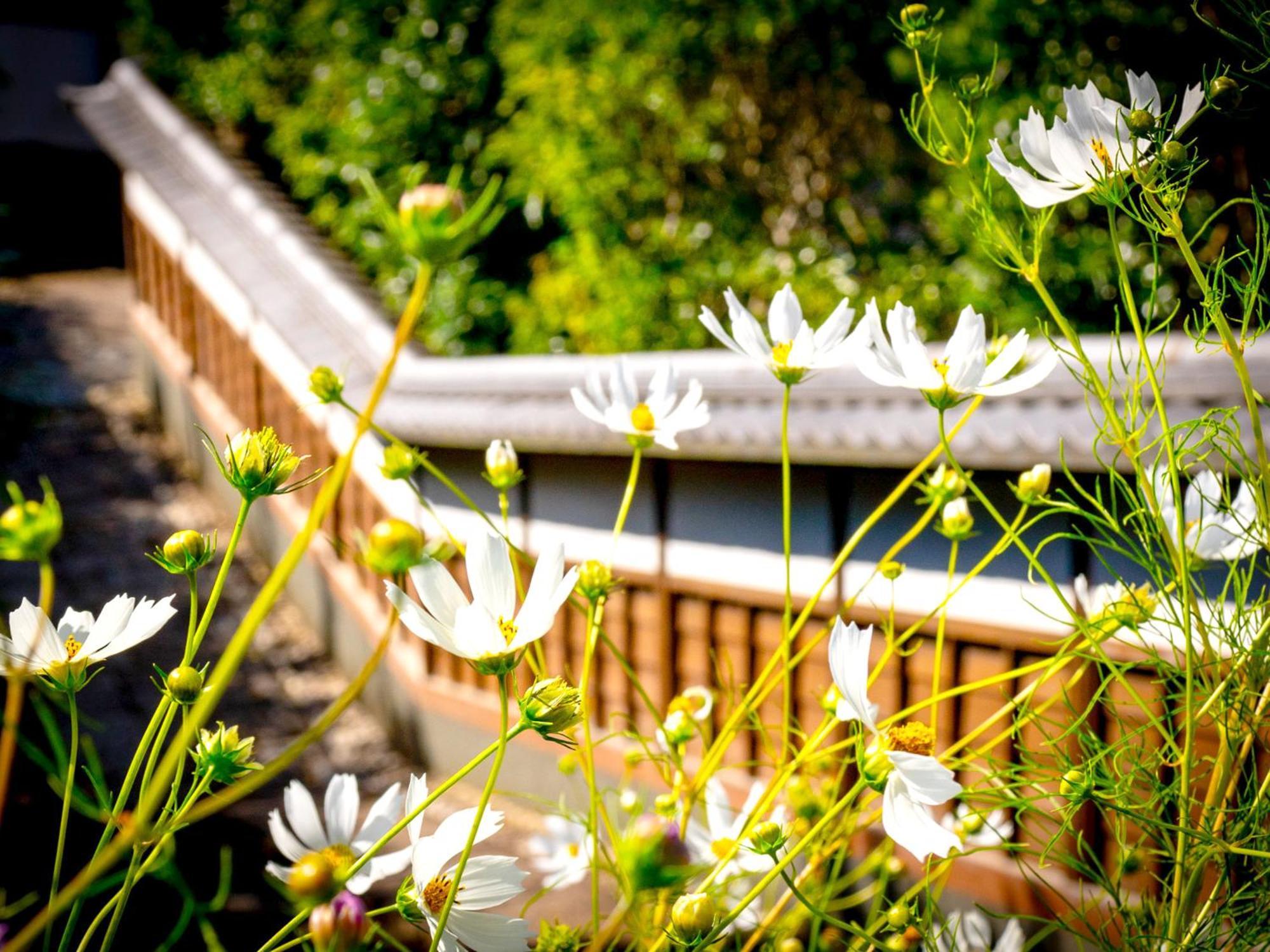 Kita-Kamakura 520 Otel Dış mekan fotoğraf
