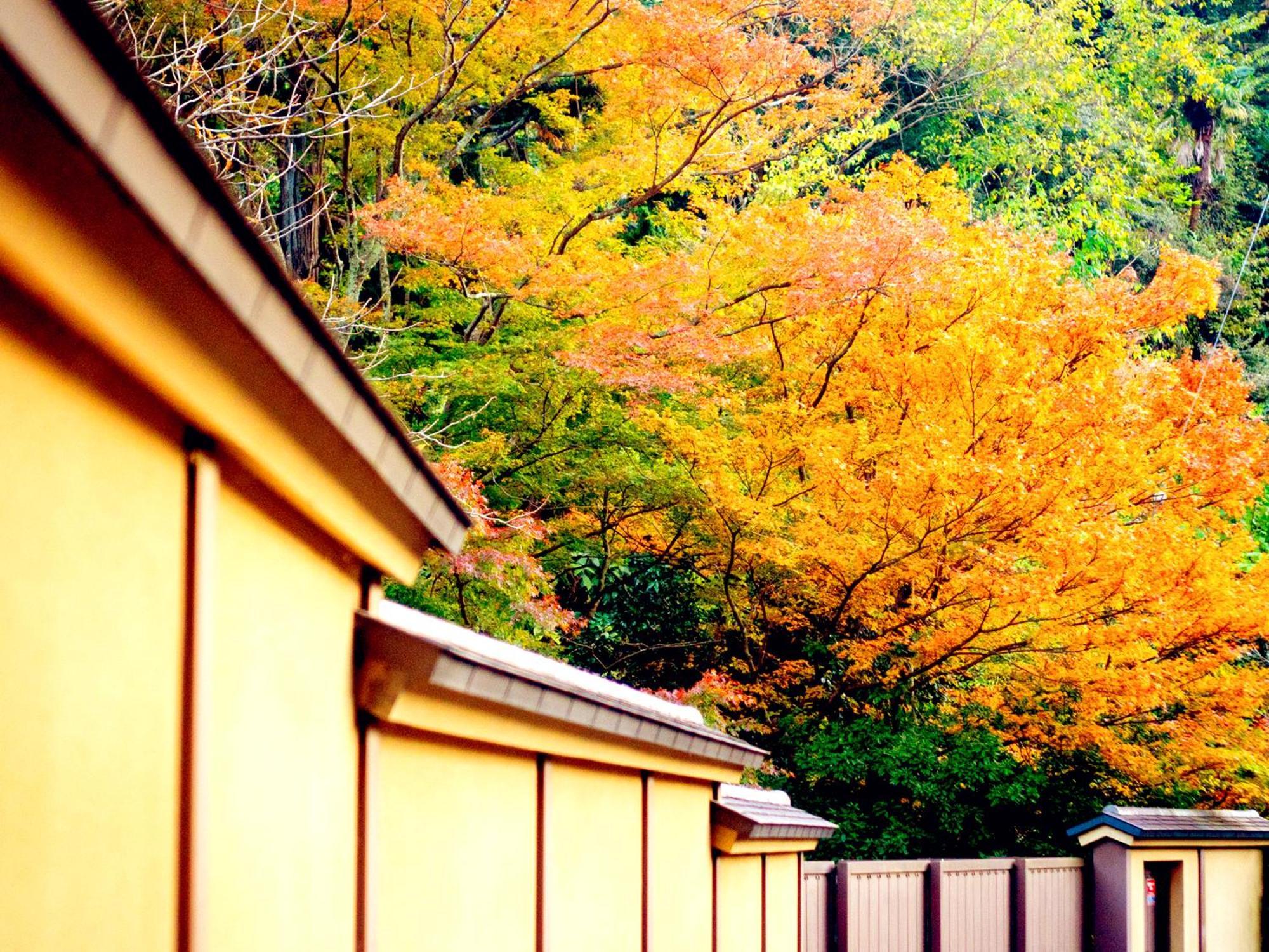 Kita-Kamakura 520 Otel Dış mekan fotoğraf